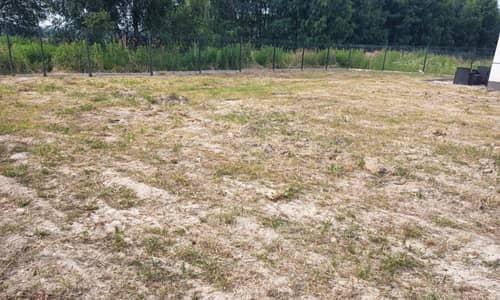 Przygotowanie terenu pod założenie trawnika